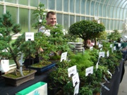 North of England Bonsai trade stall at the National Exhibition 2010
